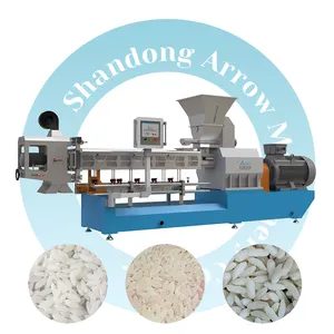Machine à fabriquer du riz enrichi en flèche 600 kg/h-800 kg/h ligne de traitement du riz reconstituant