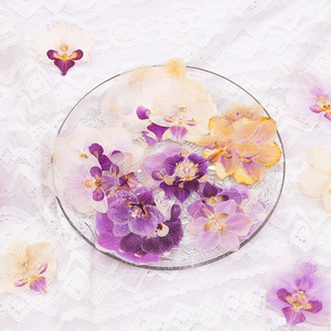 Flores <span class=keywords><strong>de</strong></span> Orquídea Prensadas Elegantes para Arte en Resina, Orquídeas Púrpuras Naturales al por Mayor para Manualidades, Fundas <span class=keywords><strong>de</strong></span> Teléfono con Resina Epoxi - Product Image 3
