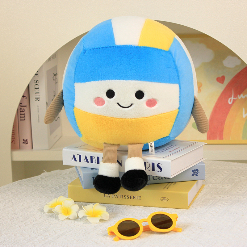 Volley-ball-28cm-0,45kg
