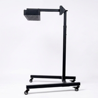 Panneau de luminothérapie à lumière rouge personnalisée (bleue/rouge) avec support mobile pour la thérapie par points de lumière rouge, fournisseur en Chine