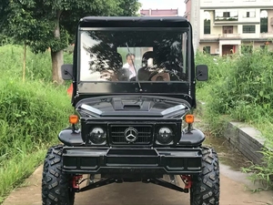 Mini Jeep con Certificación CE, Buggy 4x4, Vehículo Utilitario para Adultos, Vehículo Compacto Todoterreno para Terrenos Difíciles - Product Image 4