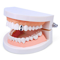 Grillz dentaire tendance en zircon, plaqué or 18 carats, motif étoile, en laiton, bijoux hip-hop pour cadeau de fête