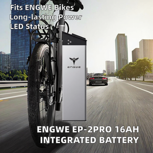 Batería de Litio de 48V 13Ah/16Ah <span class=keywords><strong>C20</strong></span> <span class=keywords><strong>Pro</strong></span> Ep-2Pro para Bicicleta con Pantalla LED - Product Image 4