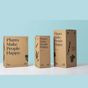 FPG Tùy Chỉnh Mạnh Mẽ Tông Sóng Mọng Nước Vận Chuyển Bao Bì Pflanzenversandkarton Thực Vật Vận Chuyển Hộp - Product Image 4
