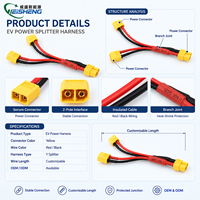 Câble d'alimentation personnalisé XT60 avec faisceau de câbles rouge et noir et connecteur pour véhicules électriques