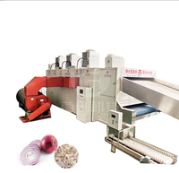 Séchoir à épices industriel en acier inoxydable Séchoir à bande pour oignon, curcuma, cannelle et mandarine Peel PLC Gear Core Components