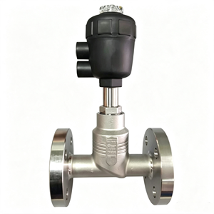 146283 2012 Vanne pneumatique à siège incliné 00146283, interrupteur à bride DIN 3/4 pouce DN20mm, joint PTFE, corps CF3M - Product Image 4