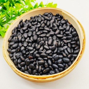 <span class=keywords><strong>Lentejas</strong></span> de color negro de alta calidad, bandas vegana, granos negros - Product Image 2
