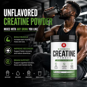 Creatina Monohidrato en Polvo Micronizada, Suplemento OEM para el Crecimiento y la Recuperación Muscular - Product Image 3
