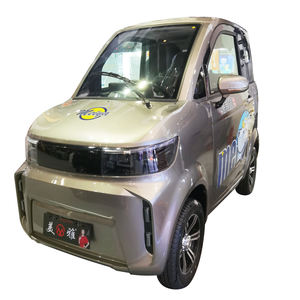Voiture électrique miniature MEIYA EEC avec moteur de 2000 W, charge utile de 400 kg, autonomie de 101 à 200 km, transmission automatique, cabine fermée - Product Image 1