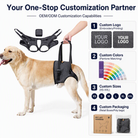 Harnais de soutien dorsal professionnel et durable pour chien, en polyester respirant, solide, PETSGUARD, écharpe de levage pour animaux de compagnie, récupération post-opératoire, arthrite
