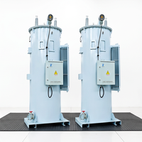 Régulateur de tension monophasé AVR 11kV 110kVA 100A pour système de production électrique industriel en Asie centrale et en Russie