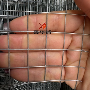 <span class=keywords><strong>Grillage</strong></span> soudé galvanisé à chaud à mailles carrées de 6 mm – Treillis métallique robuste pour volailles et jardin - Product Image 6