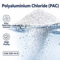 Lebensmittelqualität Polyaluminiumchlorid für Pharmazeutische Wasservorbehandlung