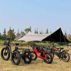 <span class=keywords><strong>2023</strong></span> nouvelle production de Tricycle électrique moto 500W moteur puissance vélo <span class=keywords><strong>cargo</strong></span> électrique batterie Certification 3 roues pour adulte - Product Image 6