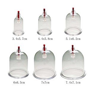 Ensemble de ventouses d'aspiration sous vide <span class=keywords><strong>Hijama</strong></span> en plastique stérilisé 18 tasses de thérapie par ventouses - Product Image 5