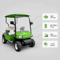 Carrito de Golf para 2 Pasajeros, Neumático 205/50-10, Vehículo Eléctrico de 60V para Turismo, Transporte en Resorts y Campos de Golf, Color Personalizado OEM