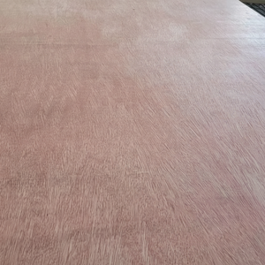 Bintangor diseño moderno cara embalaje Pino abedul madera contrachapada melamina película cara chapa tablero 1 año de garantía mejor/E1/E2 - Product Image 1