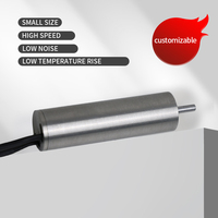 Moteur CC sans balais Sanxi Micro 16 mm 48 V haute vitesse 70 000 tr/min, bobinage manuel de moteurs sans balais, moteur sans balais de type E, micro