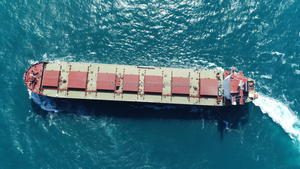 Suministramos contenedores refrigerados de 40 pies desde el puerto de Shanghái y ofrecemos servicios profesionales de transporte marítimo a todo el mundo. - Product Image 6