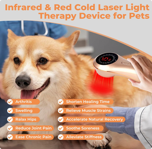 Origineel fabrieksmodel draagbaar handheld veterinair koudlasertherapie apparaat pijnverlichting voor katten, honden, paarden, duurzaam ABS materiaal 1 - Product Image 2