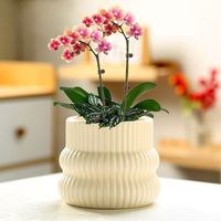 Pot de fleurs créatif en terre cuite, pot de fleurs vertical en céramique couleur crème au design créatif, nouveau pot à bonsaï en céramique
