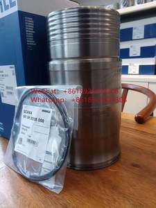 Kit de Reparación de Cilindro MAN D2876, Juego de Reconstrucción de Cilindro y Pistón MAN D2876 LE203 - Product Image 6