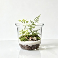 Pot de fleurs hydroponique rond transparent en plastique pour la culture verticale intérieure et la décoration de la maison