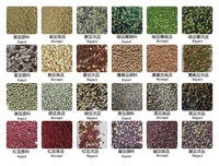Machine de tri de couleur haute précision pour haricots, riz, blé, capacité de 12 T/H, précision de tri de 99,9 %, prix d'usine