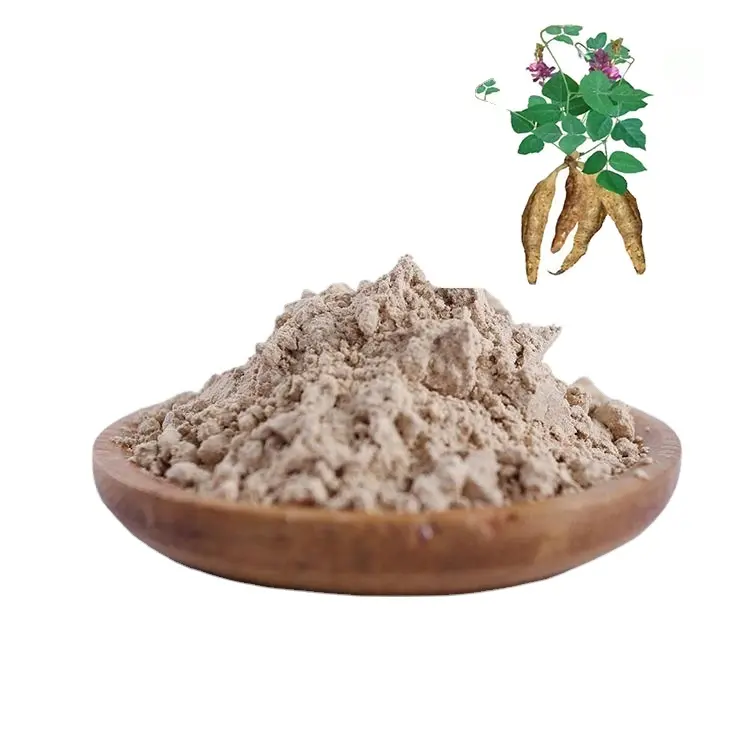 Bubuk Pueraria Mirifica kualitas tinggi Puerarin Lobata 98% Radix Puerariae 40% Kudzuvine Kudzu ekstrak akar