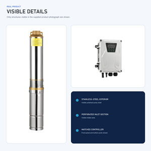 Bomba Solar de Bajo Voltaje QY 48V 600W con Impulsor de Plástico para Riego - Product Image 3