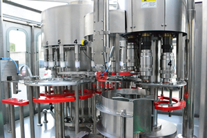 <strong>Tradekey</strong> Pure Vegetable Cooking Oil Bottle Making Filling Capping Machine Price in China - Product Image 4