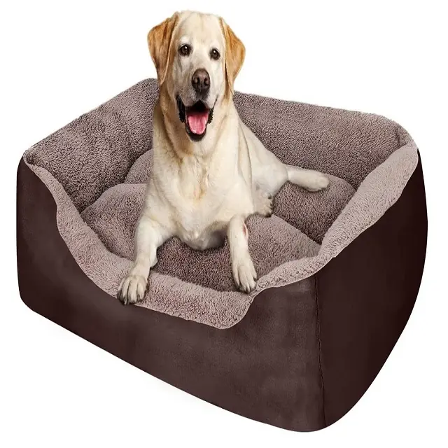 Pet Dog Bed for Medium Dogs Comfortable and Safety