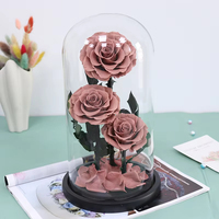Offre Spéciale : Rose Éternelle Préservée sous Cloche en Verre – Coffret Cadeau – Vente en Gros Direct Usine Chine – Noël, Saint-Valentin, Fête des Mères, Remise de Diplôme
