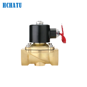 Valvola Solenoide Elettrica in Ottone Serie 2W a 2 Vie per Alta Temperatura, 1/4in-2in, Normalmente Chiusa, per DC12V 24V AC110V 220V - Product Image 2
