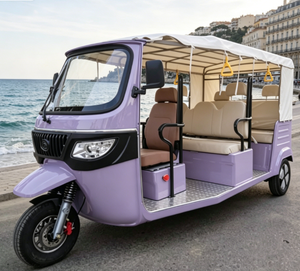 รถสามล้อไฟฟ้า 6 ที่นั่งสุดหรู ได้รับการรับรองมาตรฐาน EEC COC สำหรับการขนส่งวีไอพีในเมือง - Product Image 3