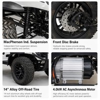 Nouveau modèle 2+2, voiturette de golf électrique 4 places, batterie lithium 60V, moteur AC 4.0KW, 35KM/H, autonomie 90km, buggy tout-terrain pour la chasse