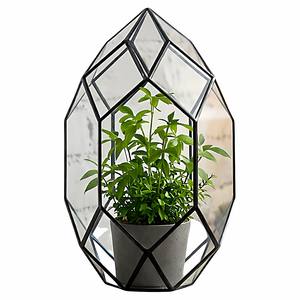 Mini serre créative en verre pour plantes, boîte de propagation pour plantes succulentes, terrarium miniature en <span class=keywords><strong>bouteille</strong></span> pour micro-paysages et mousse - Product Image 6
