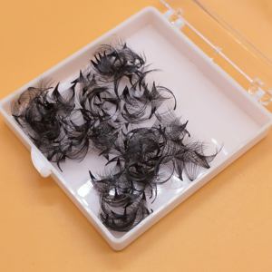 Nieuwe Aankomst Op Maat Pakket Groothandel 20d Premade Fans Wimpers Met 0.05Mm 8-20Mm - Product Image 5