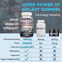 Gummies à l'extrait d'herbes de Shilajit pur, soutien à la gestion de l'énergie, 60 gummies, usage adulte