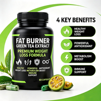 Capsules Minceur Efficaces OEM Brûleur de Graisse Sain Santé Intestinale Brûleur de Graisse Vert Capsules Détox Corps 20 Jours 60 Capsules