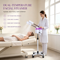 Choix Populaire : Brosse Nettoyante Visage à Vapeur Ionique, Vaporisateur Facial, Instrument de Soin de la Peau en ABS et Acier Inoxydable