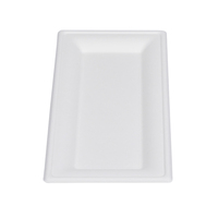 Plaques rectangulaires en bagasse certifiées BPI sans PFAS 10*5 pouces plateau de service jetable plaque rectangulaire
