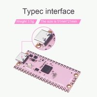 Untuk Papan Pengembangan Raspberry Pi Pico RP2040 Dual-Core 264KB Mikrokomputer Daya Rendah Antarmuka USB-C Lapisan ENIG Warna Pink