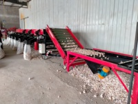 Fabrieksleverancier van fruit- en groentesorteer- en -gradeermachines, ui- en knoflooksorteer- en -reinigingsmachines te koop