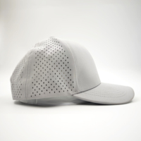 Gorra de Béisbol Deportiva Personalizada con Logotipo de Goma, Unisex, Visera Plana, 6 Paneles, Corte Láser, Perforada, Impermeable, con Diseño de Frutas, Leopardo y Argyle