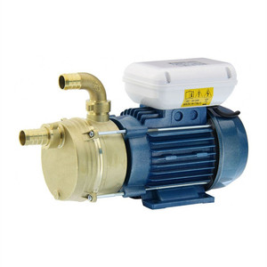 Bomba de Agua Autocebante de Acero Inoxidable Tellarini Albs 25 para Uso Marino - Product Image 1