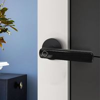 Serrure de porte intelligente en alliage de zinc Fac Wholale Low Pre Ameran avec câble USB d'alimentation d'urgence, déverrouillage par empreinte digitale, finition noire pour bois/acier