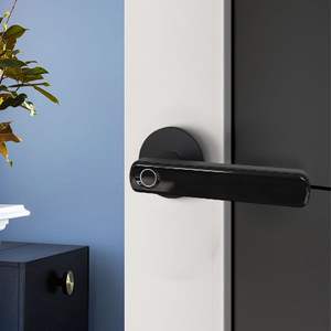 Cerradura Inteligente Americana de Bajo Precio al por Mayor, Cable USB de Alimentación de Emergencia, Cerradura Inteligente para Puerta con Huella Dactilar Negra - Product Image 4