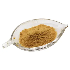 Wholesale Herbal Supplement Powder 120786-18-7 Huperzine a 1% Huperzia Serrate Extract